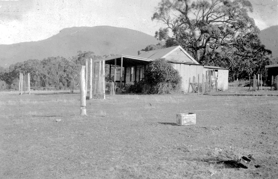 During the 1930s some of the earliest trees were planted within what is now the grounds of Grampians Paradise Camping and Caravan Parkland